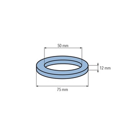 ANELLO DI TENUTA VITON mm.50x75x12 DOPPIO LABBBRO