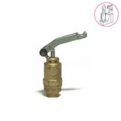 PONY FORM FINISHER MECHANICAL STEAM VALVE                   